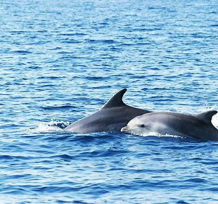 App With A Lovely Patio